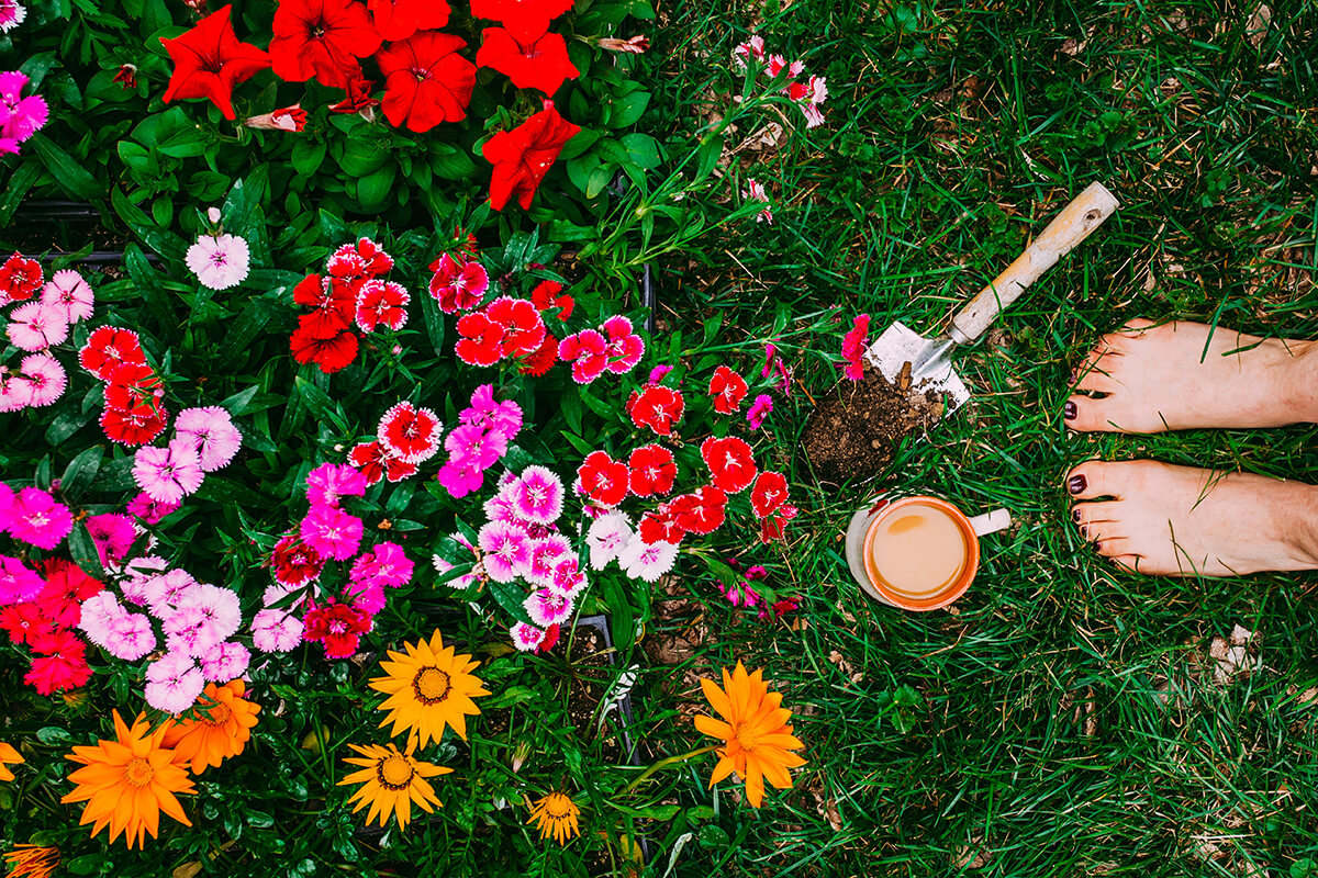 Overhead image of lady standing near flower garden with cup of coffee